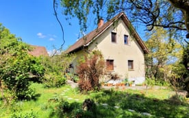 Einfamilienhaus mit Naturgarten